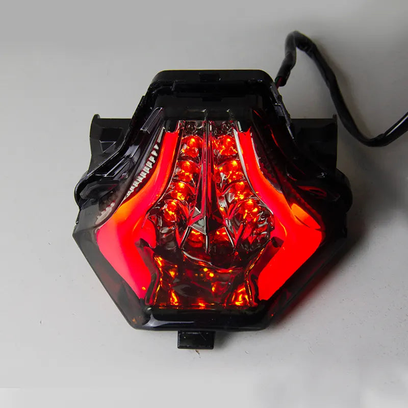 Led Motorcycle Tail Light Rear Lamp for Yamaha MT07 FZ07 YZF R25 YZF R3 MT25 MT03, product view 09
