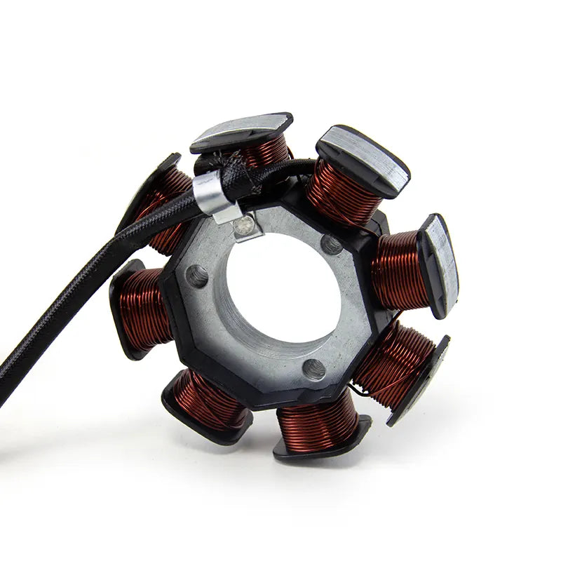 Motorcycle Engine Parts Generator Magneto Stator Coil for YBR 12 Ignition Coil Accessories, product view 04