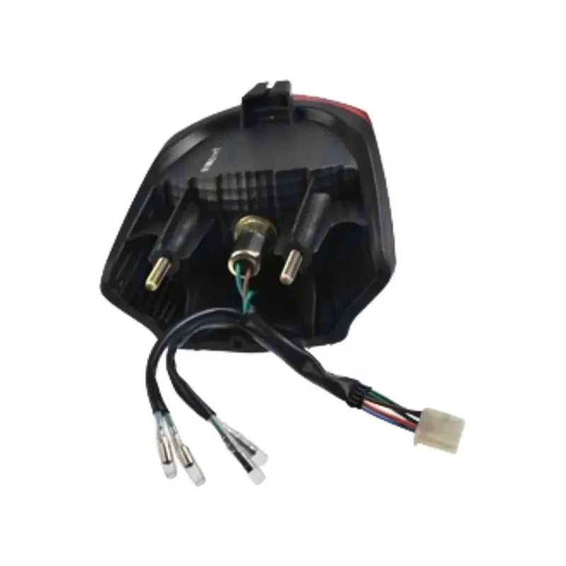 Motorcycle Lighting System Motorcycle Tail Light Taillight Tail Lamp for Italika Dm250, product view 03