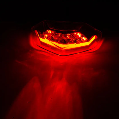 Motorcycle Tail LED Light Rear Fender Dirt Bike 12V Taillight Brake Stop License Plate Lamp for Motorcycle, product view 06