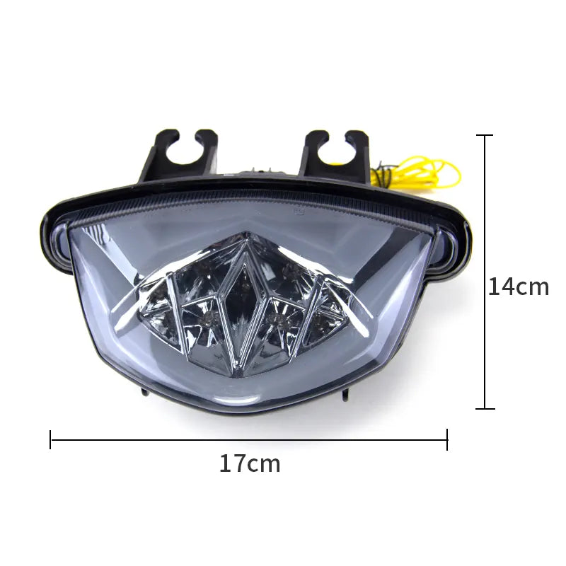 Motorcycle Taillight for Suzuki GSXS 1000 15-20 Rear Tail Light Brake Turn Signal Lamp Integrated Accessories, product view 02