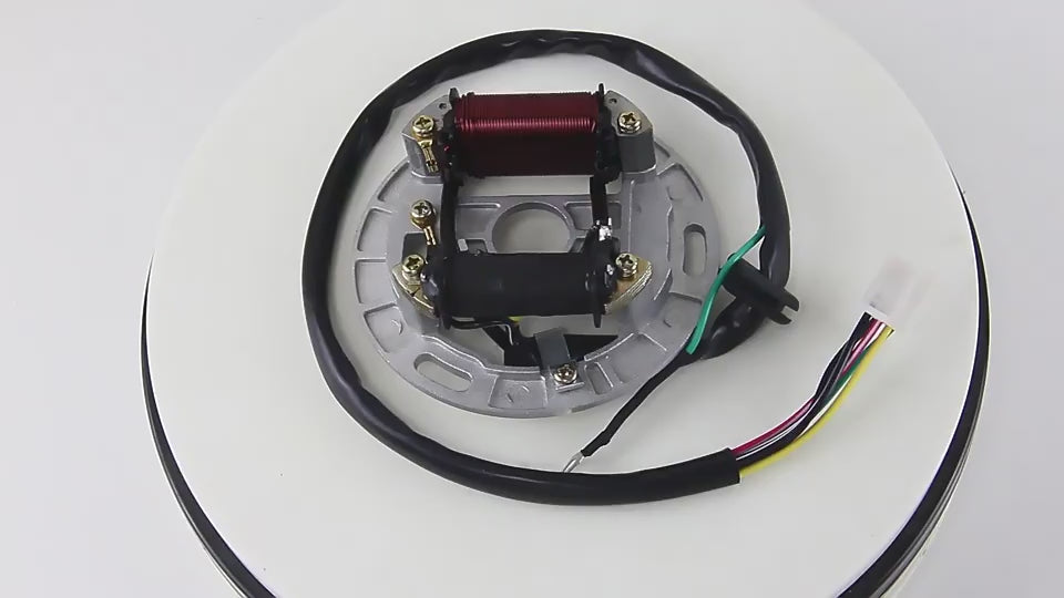 motorcycle-engine-generator-magneto-stator-coil-for-suzuki-ax100-ignition-coil-accessories-1600377983261-01.mp4