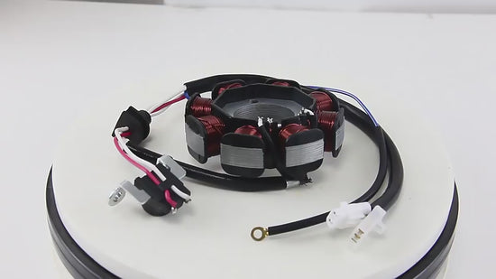 motorcycle-engine-parts-generator-magneto-stator-coil-for-ybr-12-ignition-coil-accessories-1600799933797-01.mp4