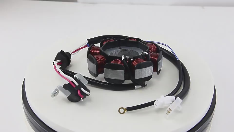 motorcycle-engine-parts-generator-magneto-stator-coil-for-ybr-12-ignition-coil-accessories-1600799933797-01.mp4