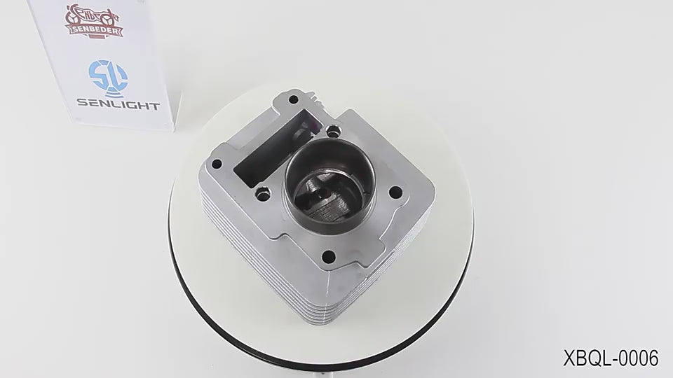 motorcycle-cylinder-liner-for-yamaha-ybr125-1600839870388-01.mp4