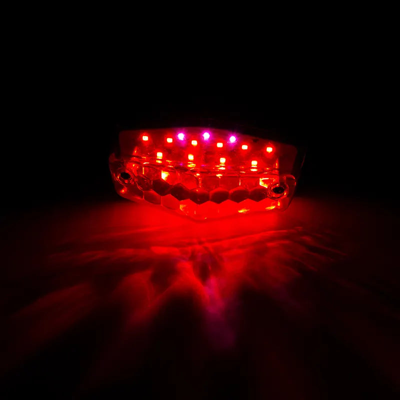 Rear Lamp Custom Led Motorcycle Tail Light for SENLIGHT BSA Lucas 525 Triumph BSA up to 1955, product view 06