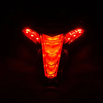 Smoked Modification Motorcycle LED Integrated Taillight for Kawasaki Z1000 Ninja 250 400 Z400, product view 07